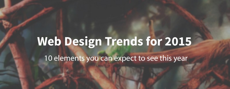 TWp webdesign trends
