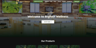 Recreational & Medical Dispensary Website